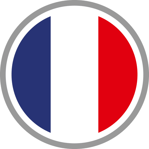 France Flag Round Circle Icon