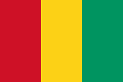 Guinea Flag Icon