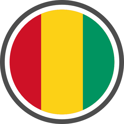 Guinea Flag Round Circle Icon