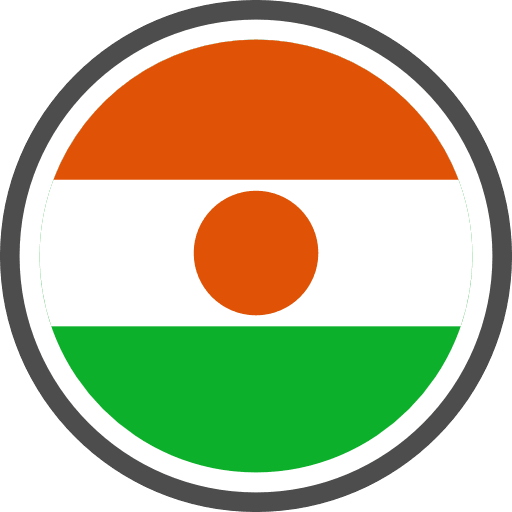 Niger Flag Round Circle Icon