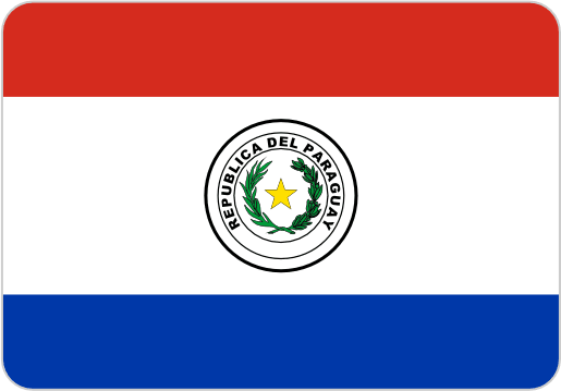 Paraguay National Flag Icon