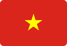 Vietnam Flag Icon