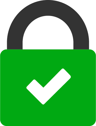 Checkmark Security Lock Icon