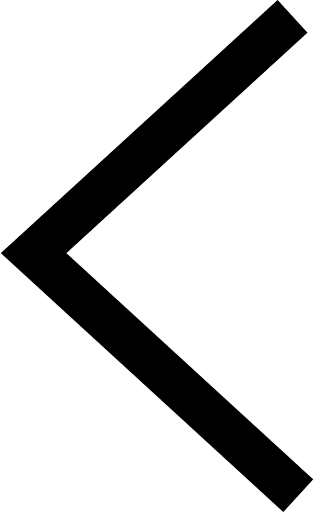 Thin Chevron Arrow Left Icon