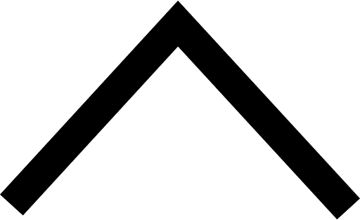 Thin Chevron Arrow Top Icon