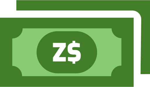 Zimbabwean Dollar Notes Color Icon