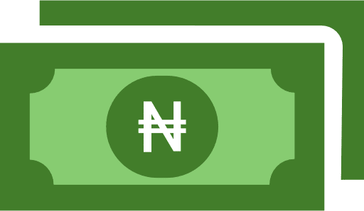 Nigeria Naira Notes Color Icon