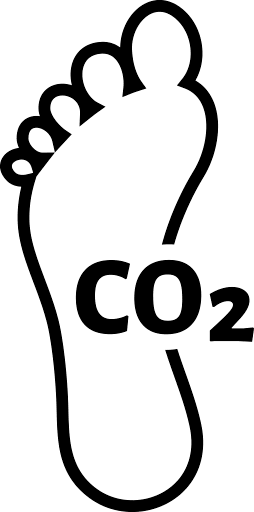 Carbon Footprint Icon