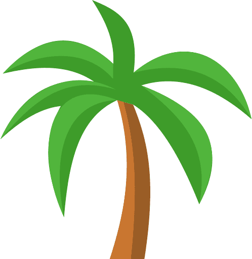 Coconut Tree Color Icon