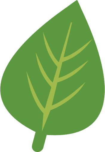 Herb Green Leaf Icon