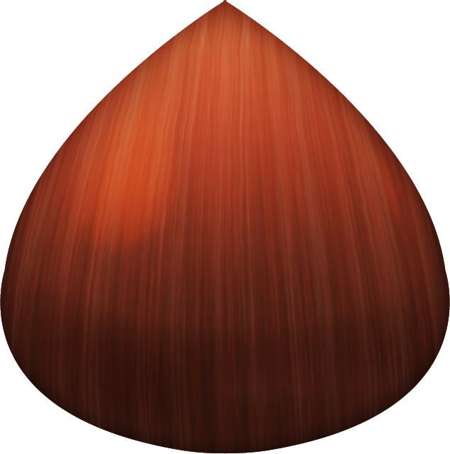 Chestnut Emoji Icon File HD Icon