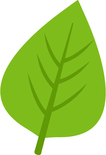 Leaf Green Color Icon