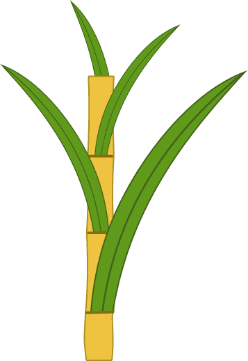 Sugar Cane Icon