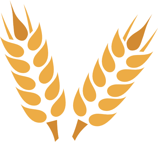 Grain Wheat Color Icon