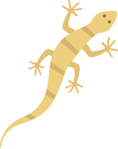 Lizard Gecko Color Icon