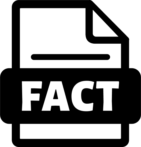 Fact File Icon