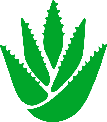 Aloe Vera Icon