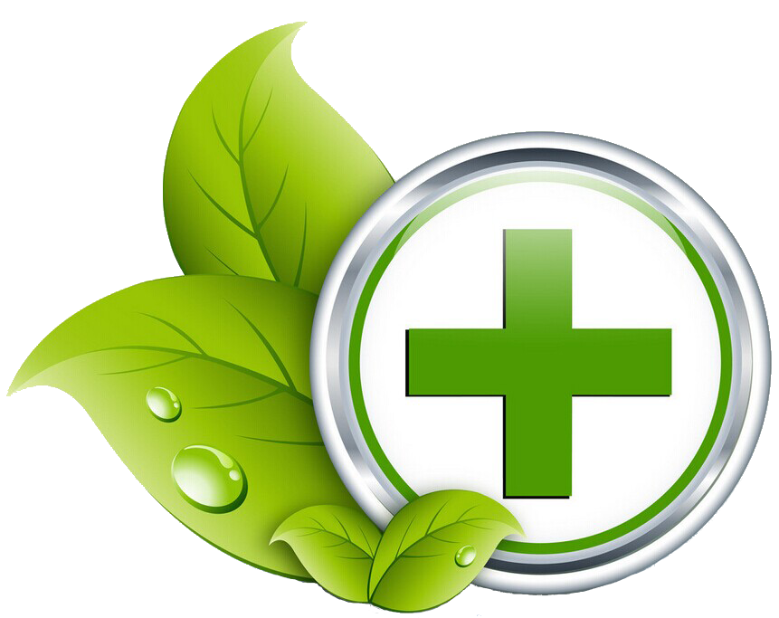 Green Healthcare Medicine Health Care Icon Icon