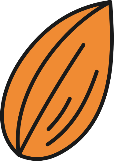 Almond Icon