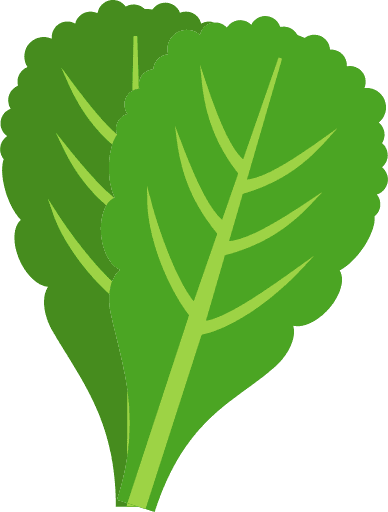 Spinach Icon