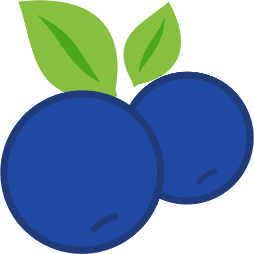 Blueberry Icon