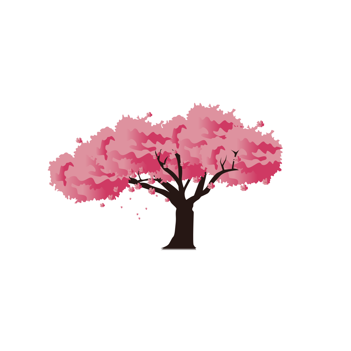 Pink Blossom Cherry National Festival Japan Icon Icon