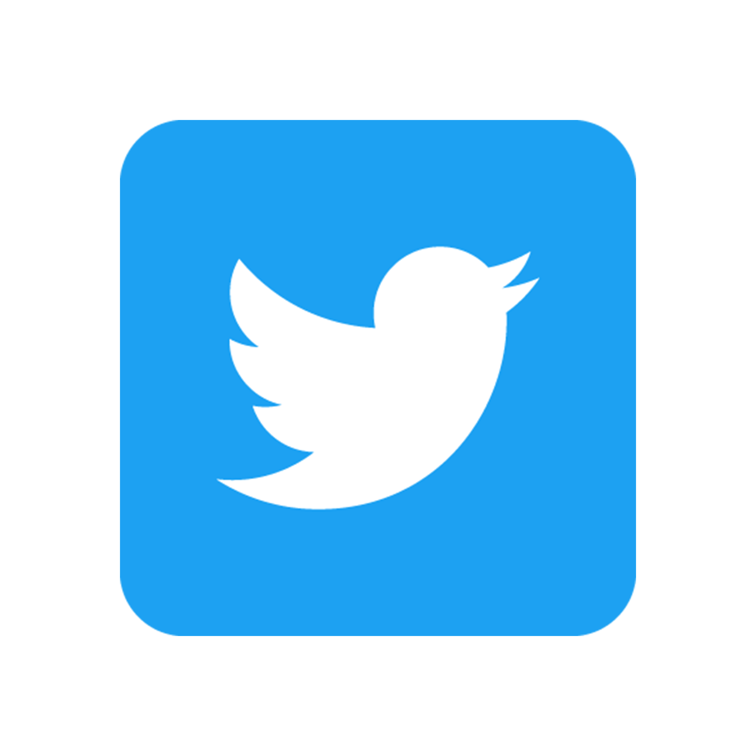 Computer Network Icons Twitter Vector Design Graphics Icon