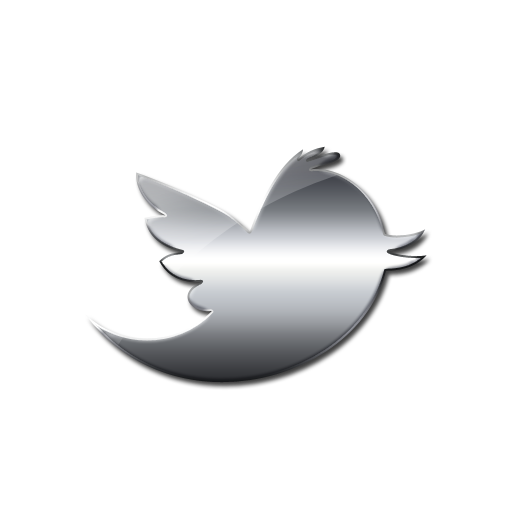 Icons Media Twitter Bird Computer Social Logo Icon