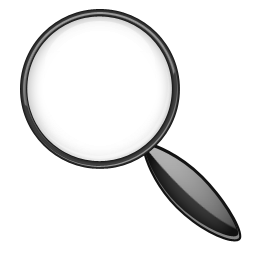 Magnifying Glass Icon Icon