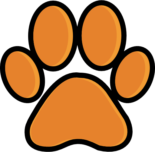 Paw Color Icon