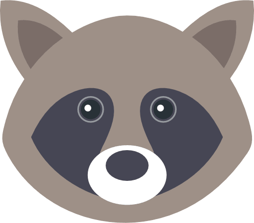 Raccoon Icon