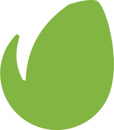 Envato Logo Icon