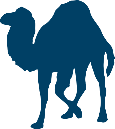 Perl Programming Language Icon