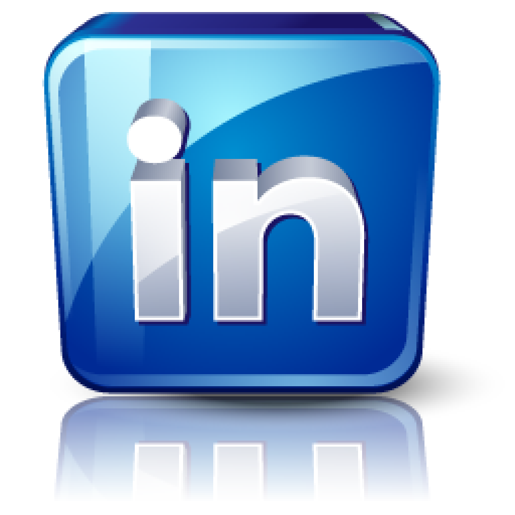 Network Icons Media Twitter Linkedin Blog Computer Icon