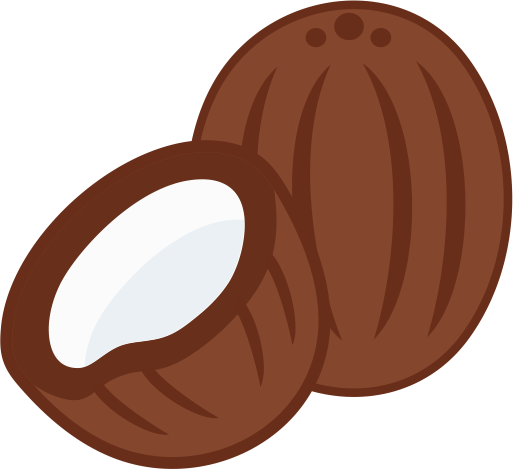 Coconut Icon