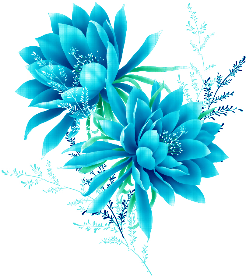 Images Abstract Flower Free Transparent Image HD Transparent PNG Image