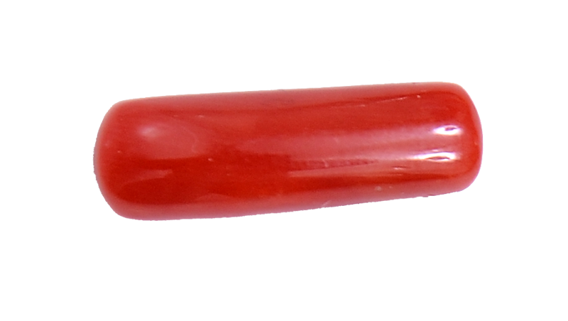 Coral Gem Red Download Free Image Transparent PNG Image