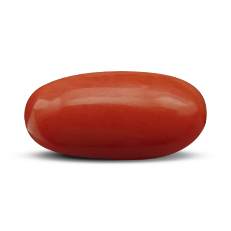 Picture Coral Gem Red Free HD Image Transparent PNG Image