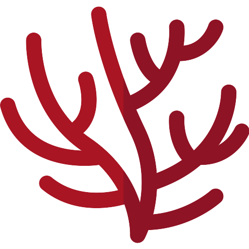 Coral Red HQ Image Free Transparent PNG Image