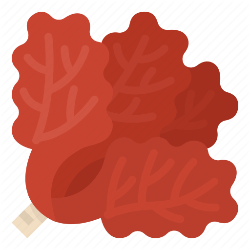 Precious Coral Red Free Clipart HD Transparent PNG Image