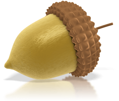 Acorn Png Image Acorns Transparent PNG Image