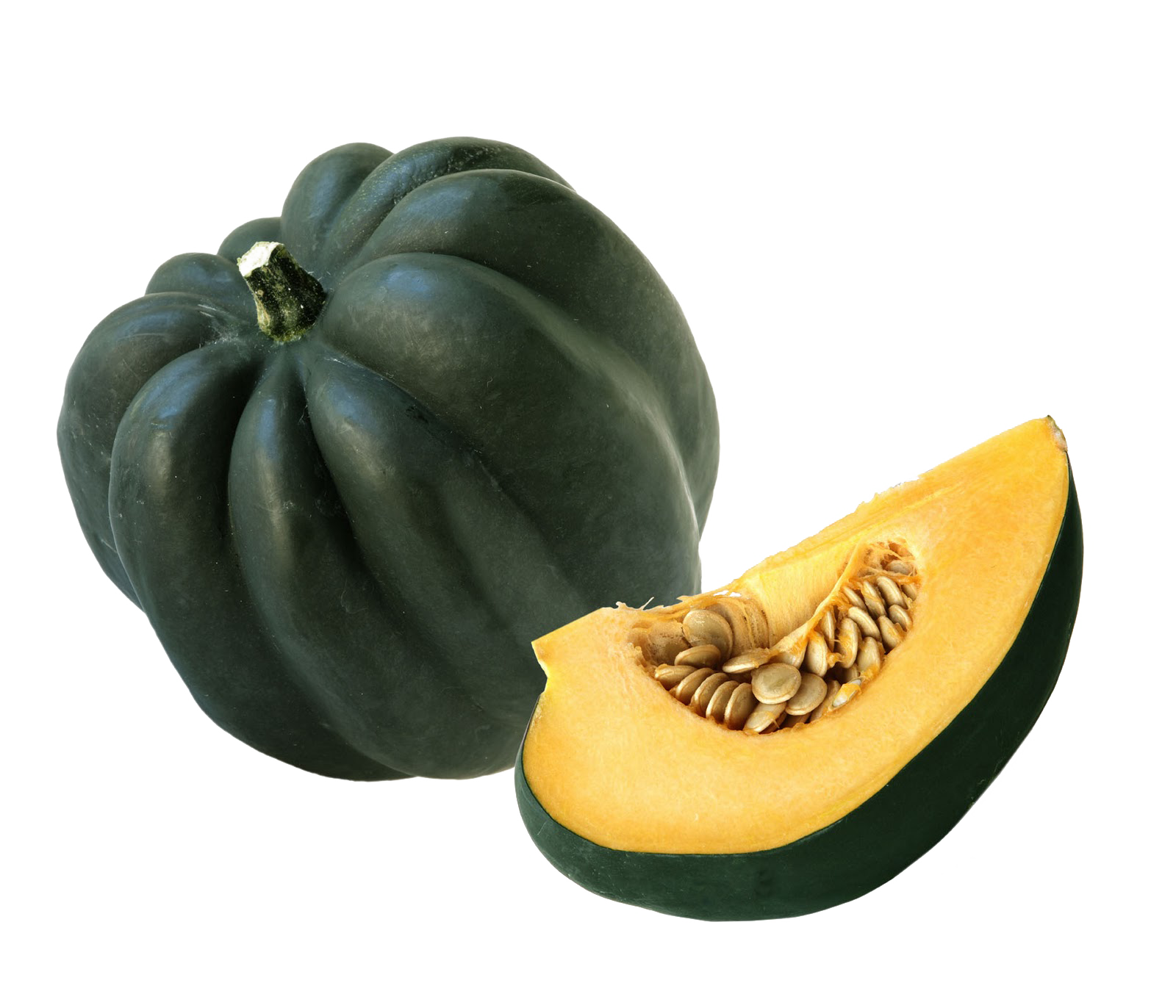 Squash Acorn PNG Free Photo Transparent PNG Image