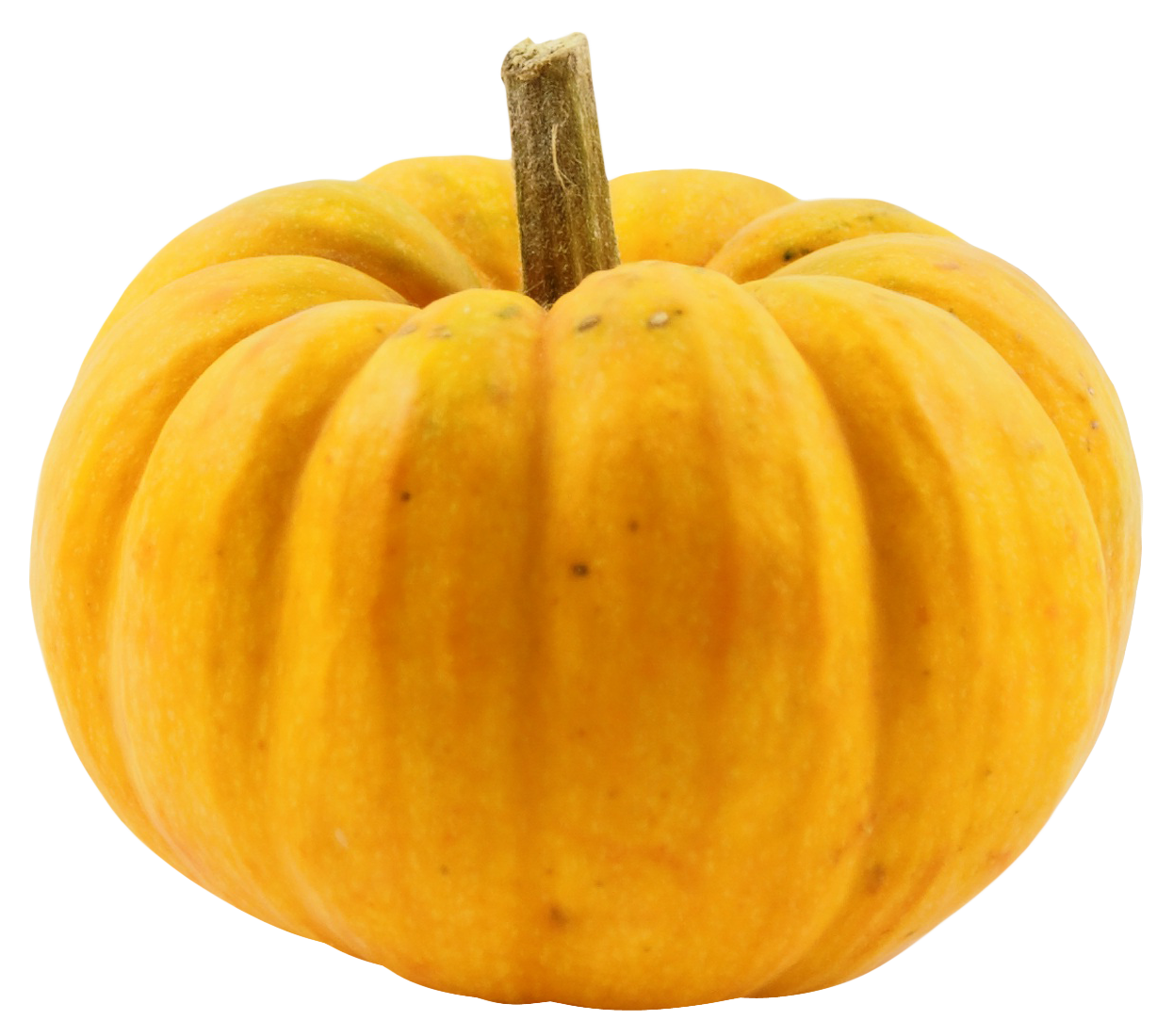 Squash Acorn Free Transparent Image HQ Transparent PNG Image