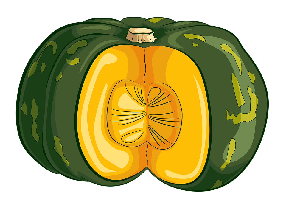 Squash Acorn Free HQ Image Transparent PNG Image