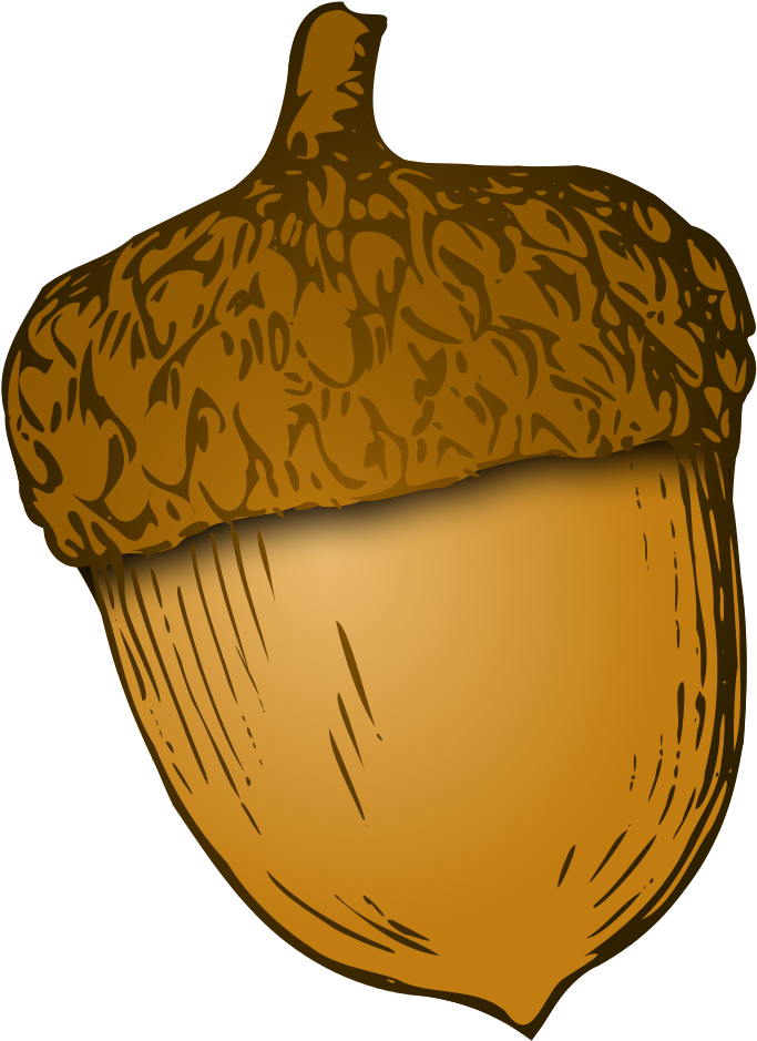 Photos Acorn Free Download Image Transparent PNG Image