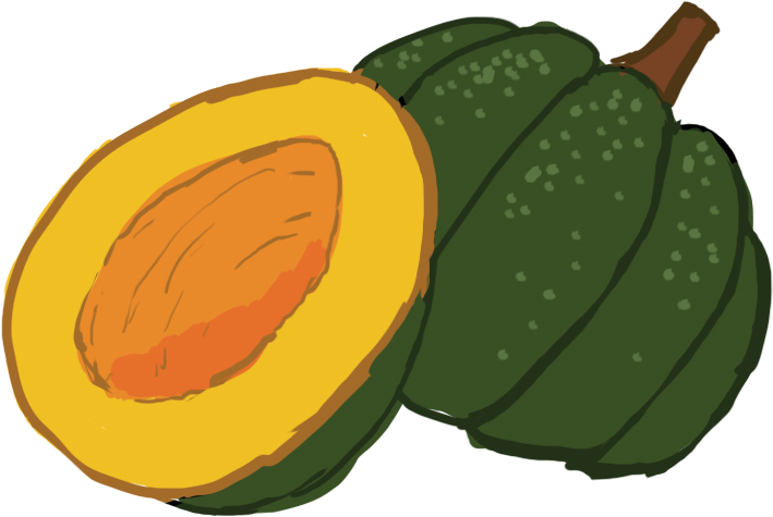 Photos Acorn Ripe Squash Download HQ Transparent PNG Image