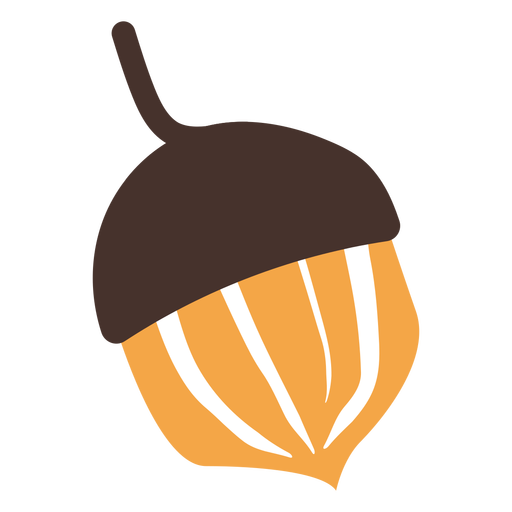 Vector Acorn Download Free Image Transparent PNG Image