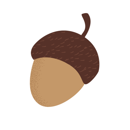 Acorn Download HD Transparent PNG Image