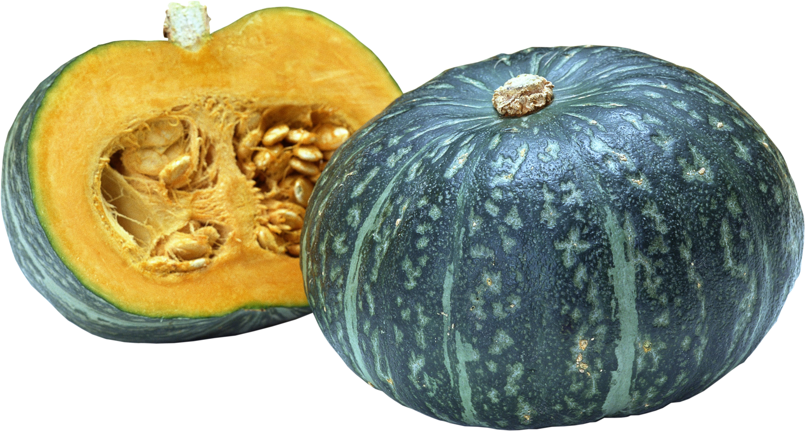 Picture Squash Acorn Free HQ Image Transparent PNG Image