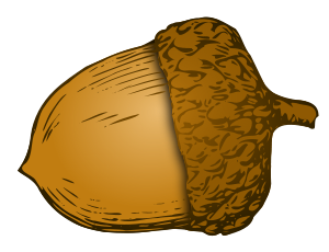 Acorn Png 6 Transparent PNG Image